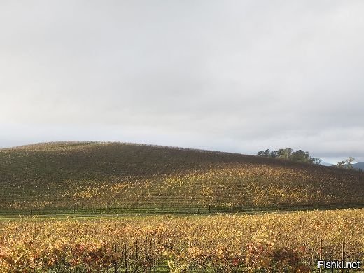 Прикольное оформление рабочего стола