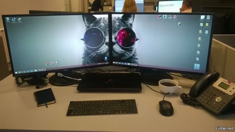 На работе третий год Барсик живет.