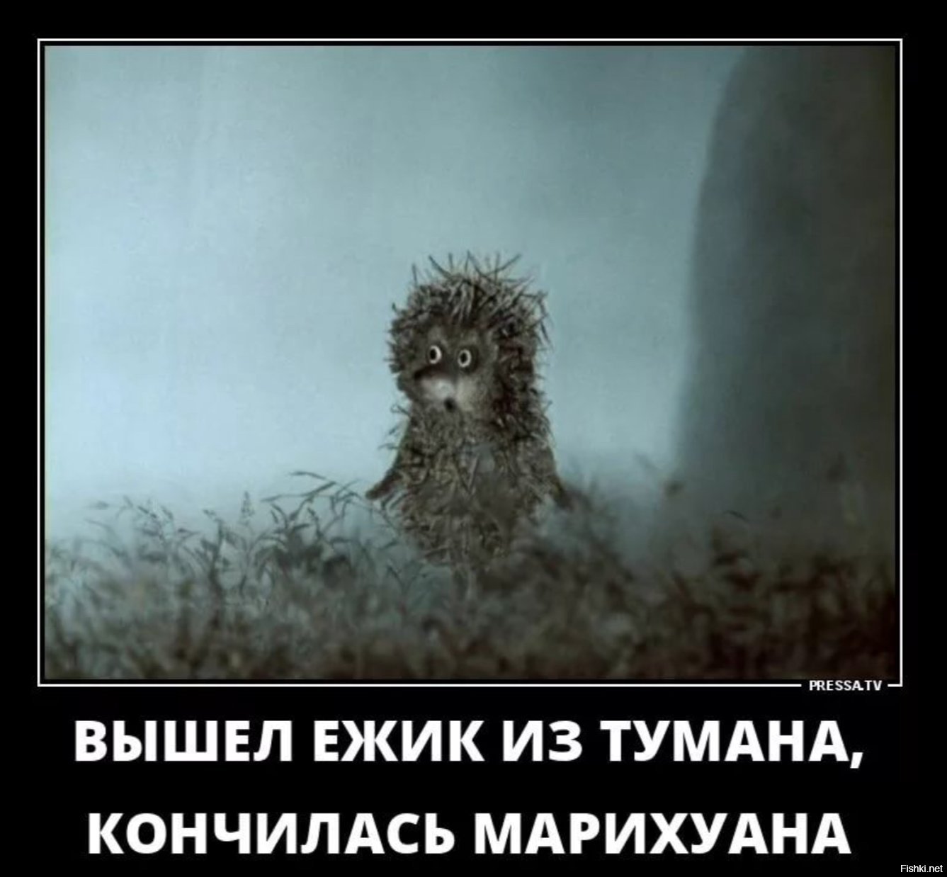 Картинки ежик в тумане приколы