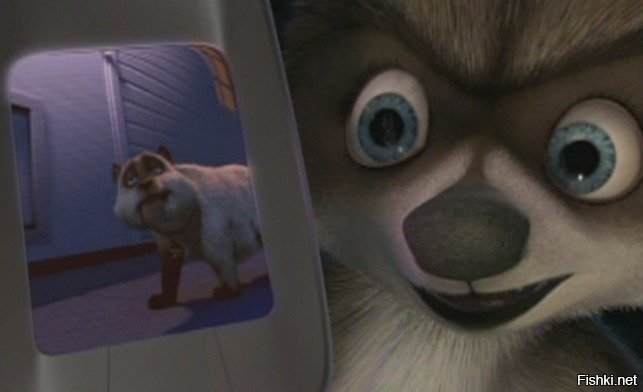 Победа Васи