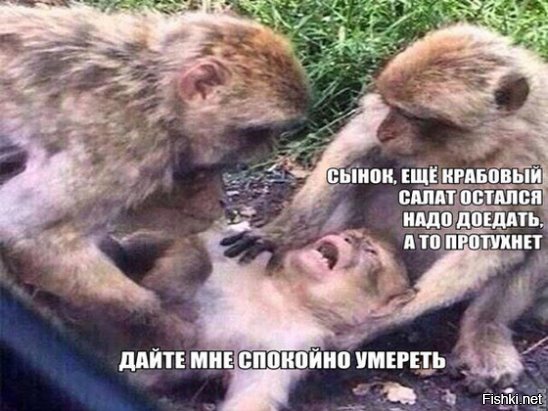 Картинки с надписью вставай страна огромная салаты доедай