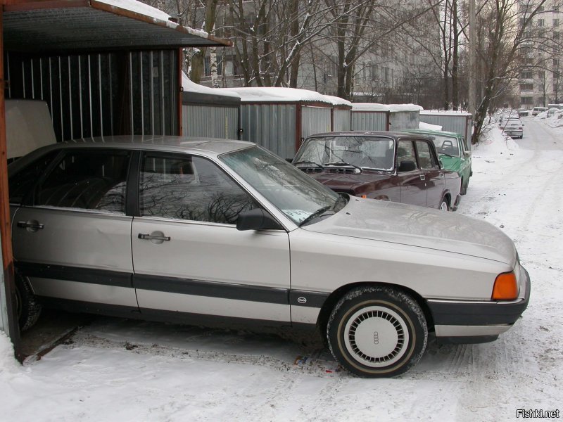 Черепаха ауди 100