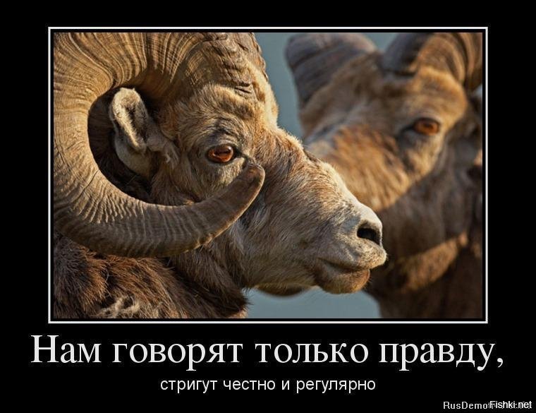 1c3a4063c45af626c0ce0105bd89a40b.jpg