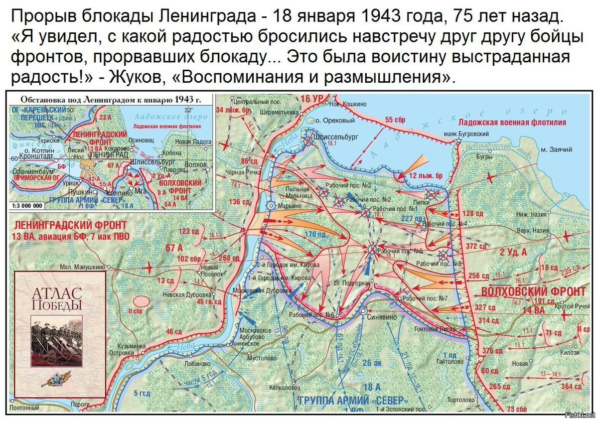 карта дотов в петербурге фото 108