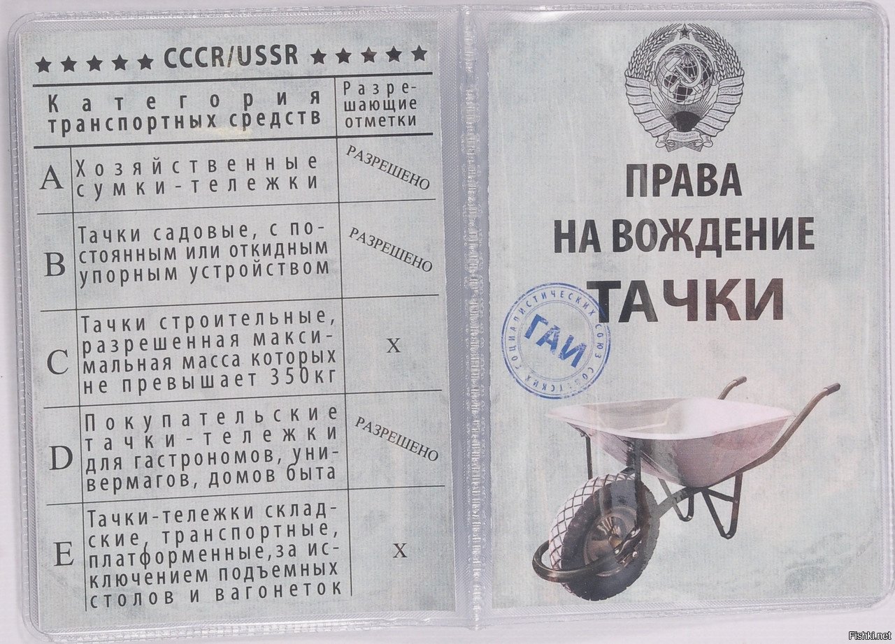 Утро, картинки прикольные водительские права