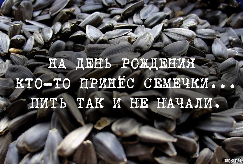 Картинка подмигивает, надпись семечки с картинками