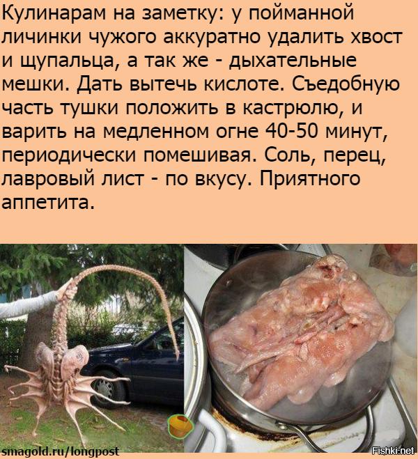 66f56cb2ac578ae4e020b0d4fe056fe3.png