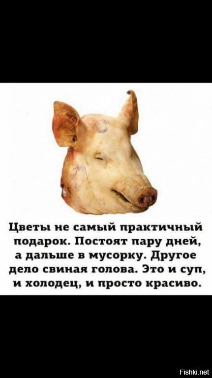 основу этого цветы не самый практичный подарок картинка для