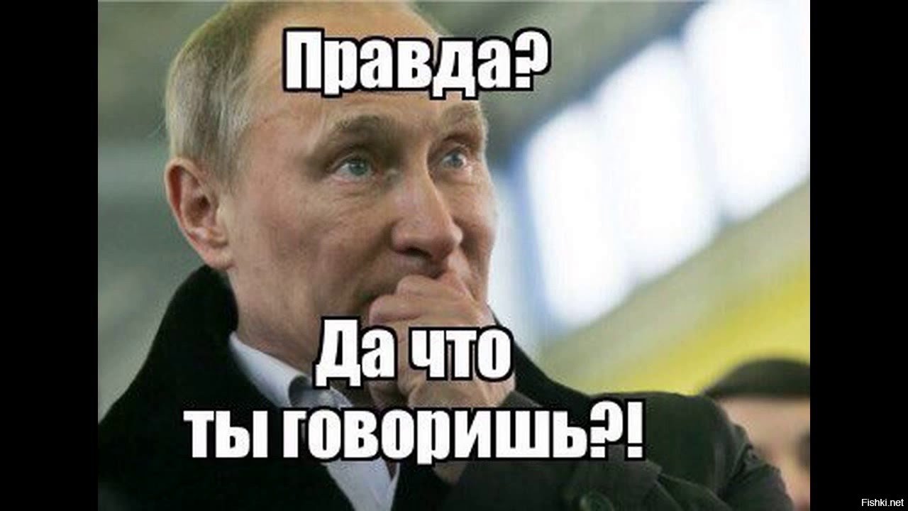 Картинки для, правда что ли прикольные картинки