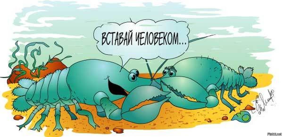 Открытки лету, картинки прикольные с раками