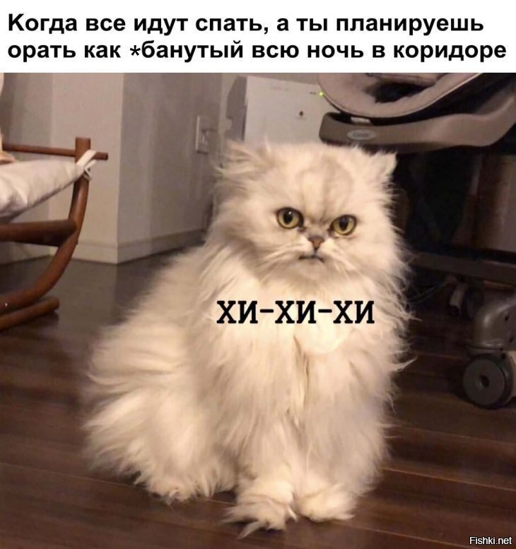 Прикольный, картинки с надписями а не пошла бы ты