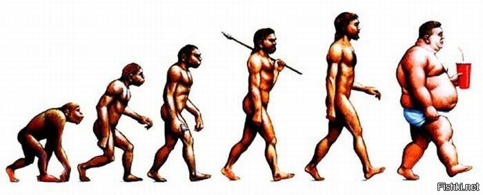 Эволюция человека: хомо питекус, хомо эректус, хомо хабилис, хомо сапиенс, хомо неандерталис, хомо американус.