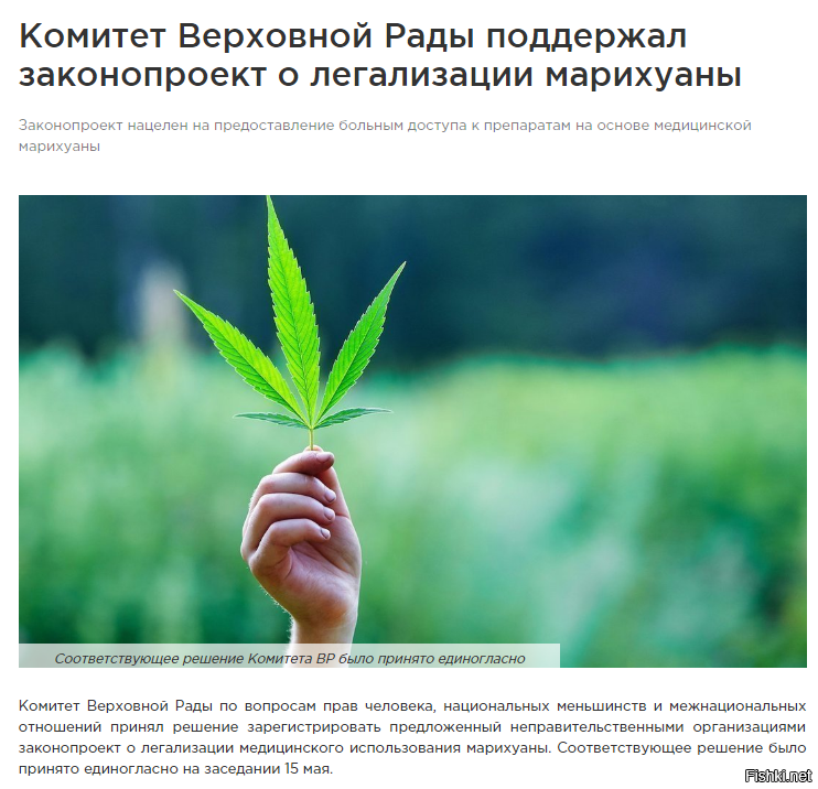 закон о марихуане в беларуси закон о марихуане в беларуси