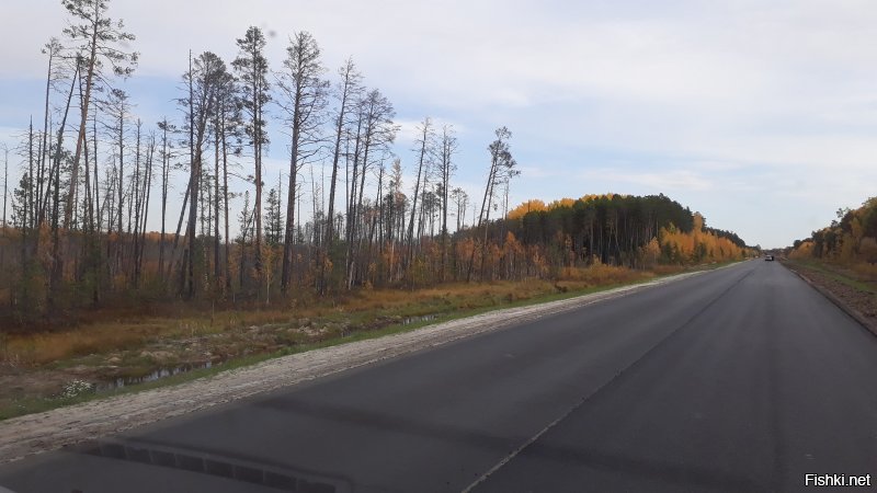 Нижневартовск челябинск на машине