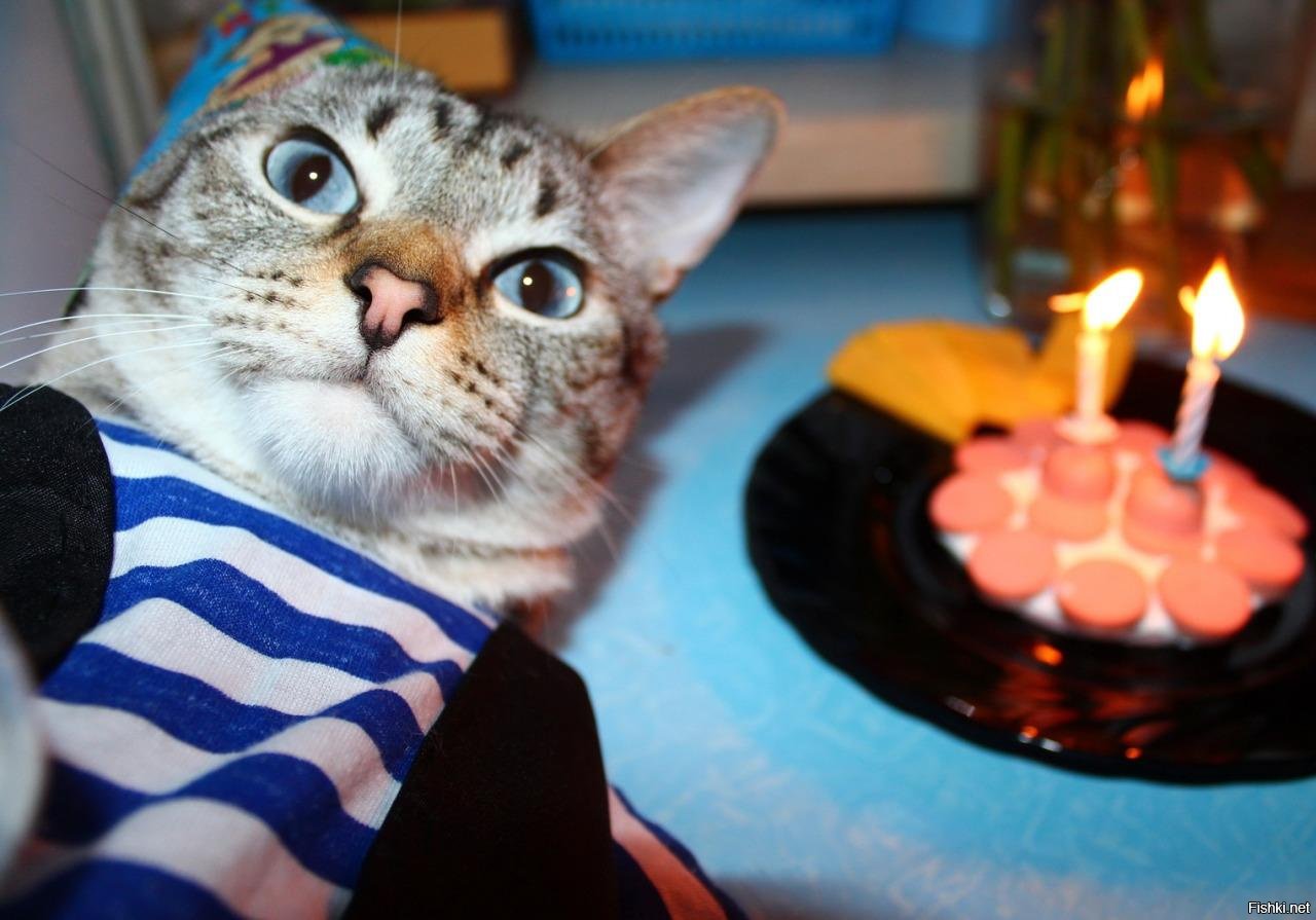 Нового 2016, открытка фото приколы