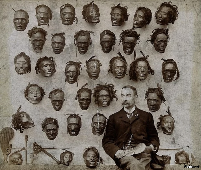 Английский генерал Г. Робли со своей коллекцией татуированных голов маори, 1895 г. ”