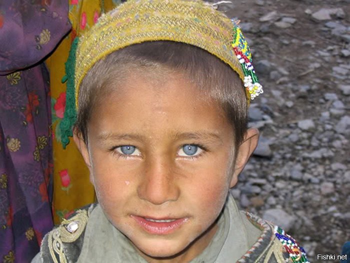 ��� ���� ��������� ������� ������� ������������ ����������