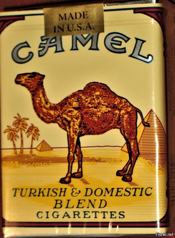 Сигареты кемал. Сигареты Camel Original пачка. Верблюд кэмел сигареты. Сигареты кемел жолипя пачка. Пачка сигарет кэмел желтый.