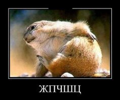 Солянка от 09.09.2019
