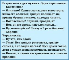 Лучшие продавцы из России, которые могут втюхать абсолютно все
