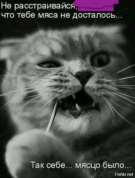 Солянка от 09.09.2019