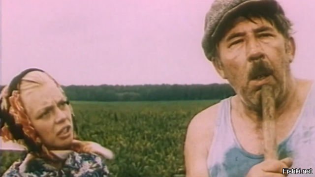 Какие, говорите, шорты?