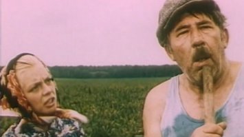 Какие, говорите, шорты?