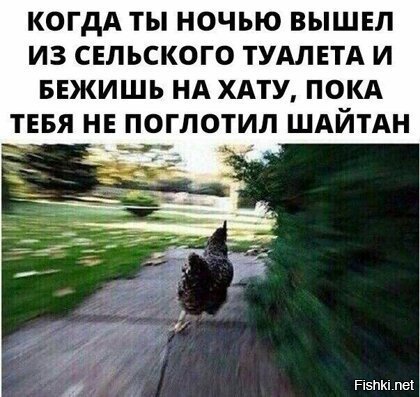 Смешные картинки с надписью