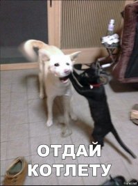 Солянка от 09.09.2019