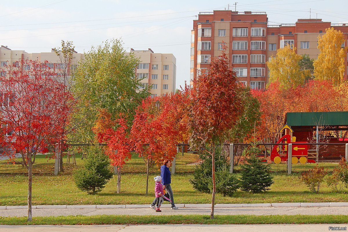 Осенний Новосибирск Фото