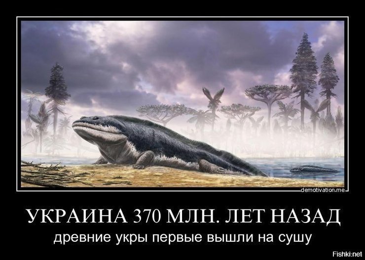 В России найдены окаменелости гигантской доисторической рыбы с зубной спиралью