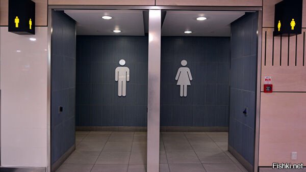 Почему женщинам приходится чаще ходить в туалет «по-маленькому»?