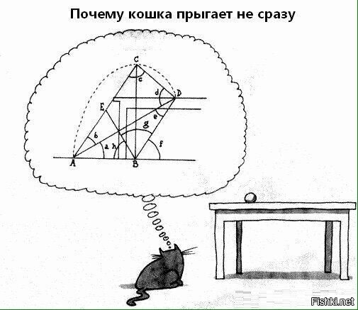 Карта и компас мои друзья