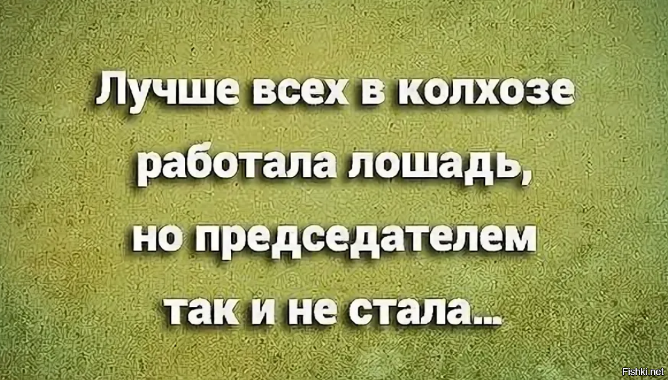 Включайся больше. Лошадь председателем так и не стала. В колхозе больше всех работала лошадь. Брлтшге всех в колхозе работала лошадь. Лучше всех в колхозе.