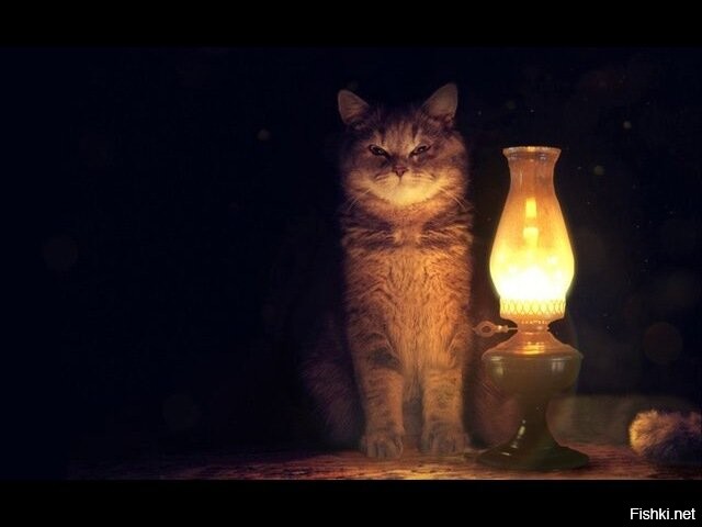 Кота с лампой надо запостить.....