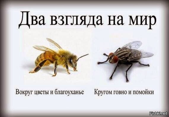 Вышний Волочек- это безнадега. Самый депрессивный город, в котором я когда-либо был. Фотоотчет
