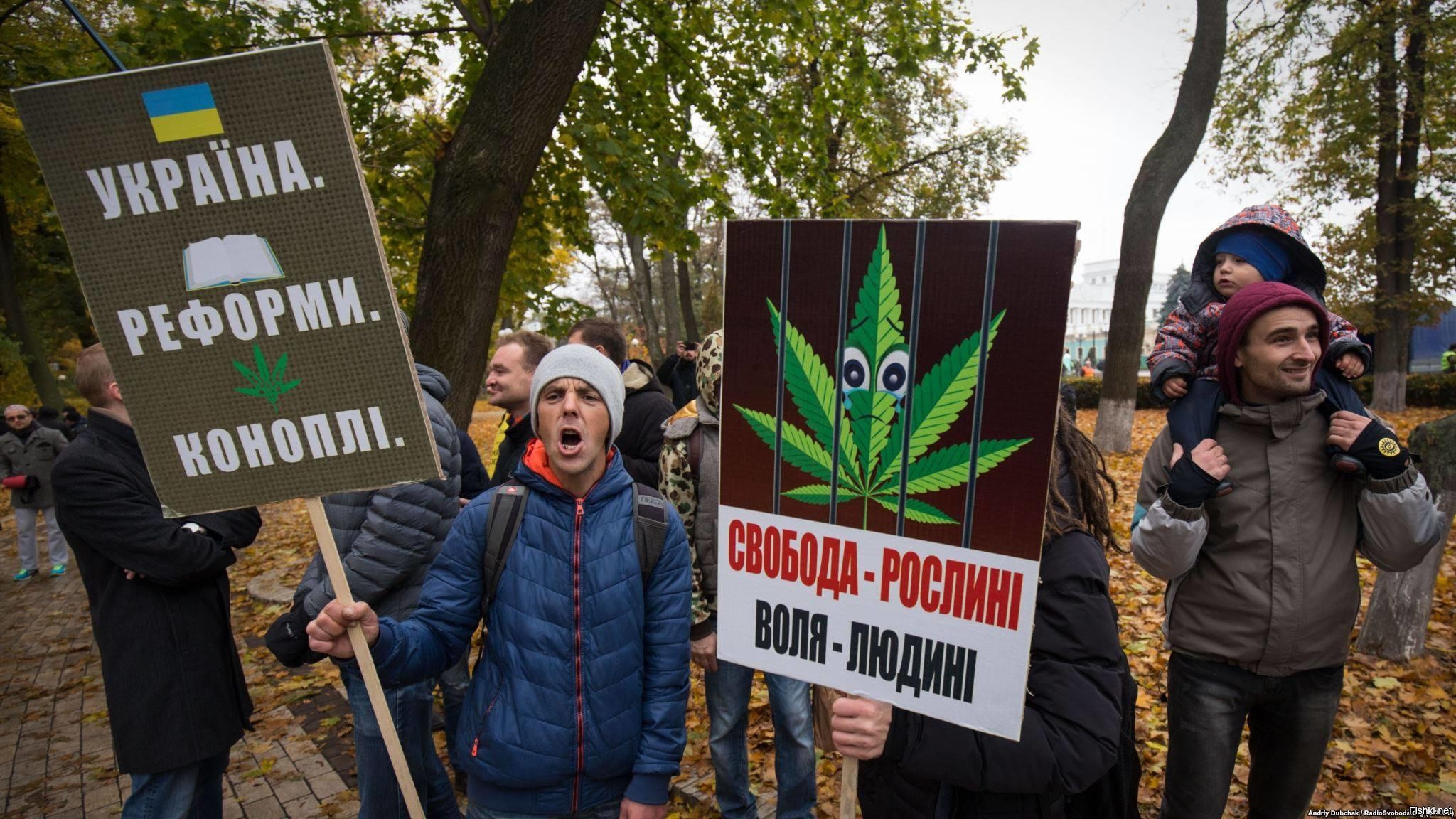 в украине легализуют коноплю