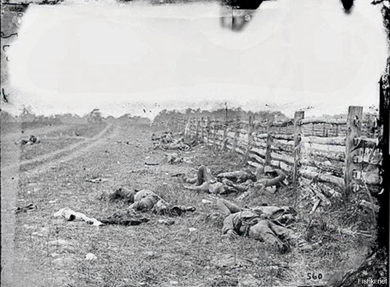17 сентября 1862 года, сражение при Энтитеме. Гражданская война в Америке.
Впервые кому-то пришло в голову сфотографировать убитых солдат.
Интересный факт: негативы несколько раз пропадали, потом их находили в самых неожиданных местах. Последний раз исчезли бесследно лет 50 назад.