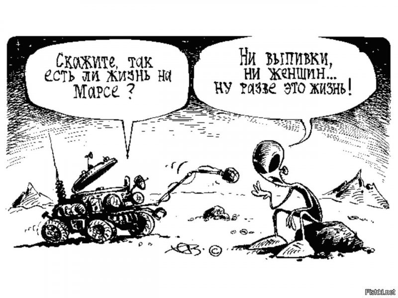 Илон Маск рассказал о том, как будут жить колонисты на Марсе