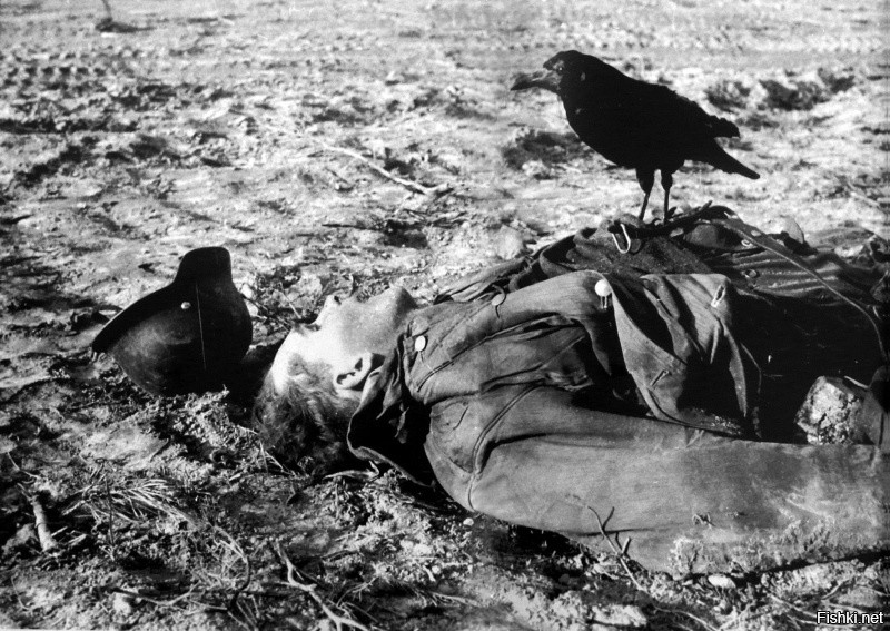 Ворон, сидящий на теле убитого немецкого солдата.