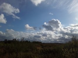 Просто море. Одно, но такое разное и его облака. И несколько фото облаков над нашим полем. Все мои, но в нашей группе есть вообще просто необыкновенные. Мои все без каких-либо фильтров и даже с заваленым горизонтом.
 Такие виды и краски, что дарит природа, не придумает человек.