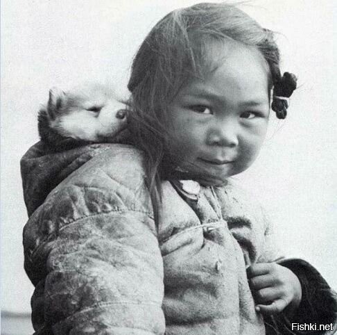 Ну вот откуда взяли, что это именно хаски?
в оригинале написано:
Little inuit girl and her puppy, 1949. Photograph by Richard Harrington.