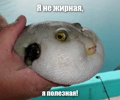 Почему рыбий жир был так популярен в СССР и куда он пропал?