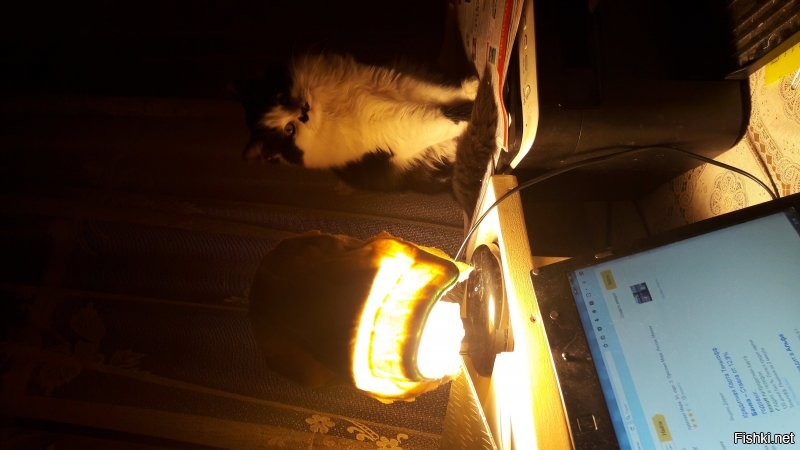 и у мене есть свой кот с лампой)))