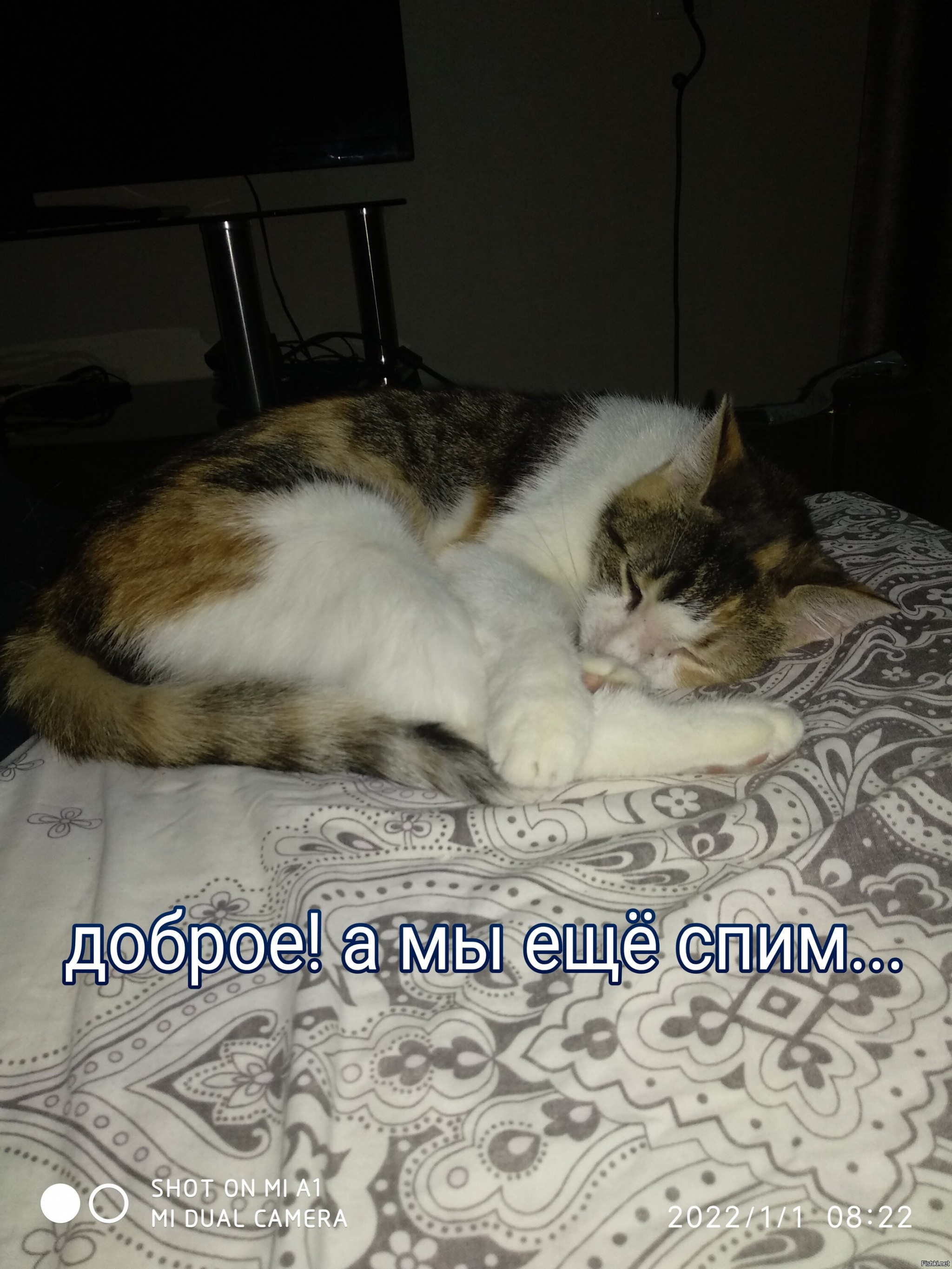 С 1 Января 2024 Доброе Утро