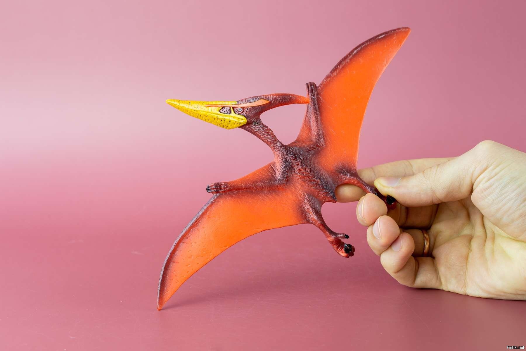 Pterodactyl Porno