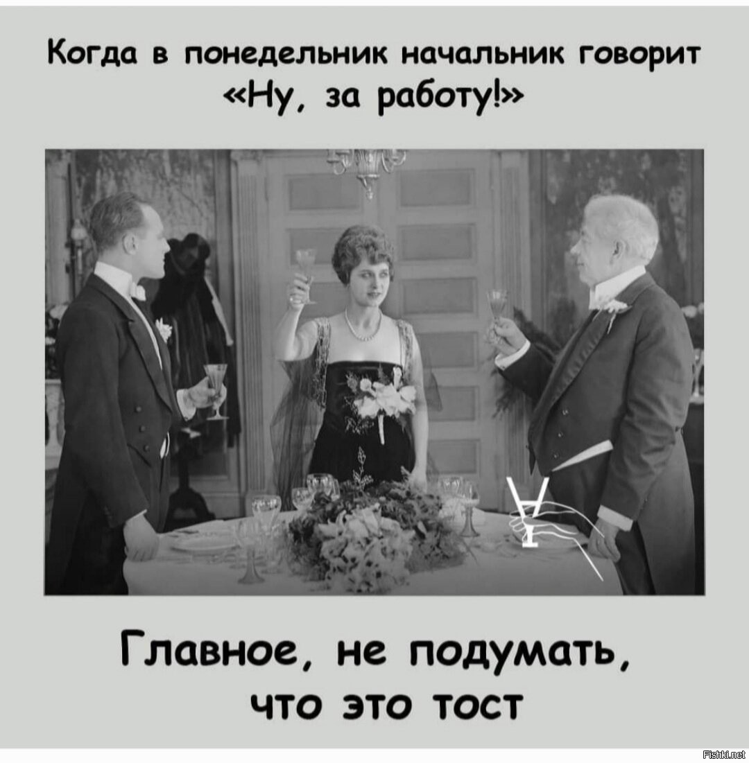 Говорят работы не видишь. Когда в понедельник начальник говорит. За работу тост. Когда в понедельник начальник говорит ну за работу. Тост за понедельник.