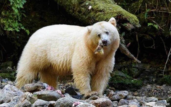 минус в карму что значит