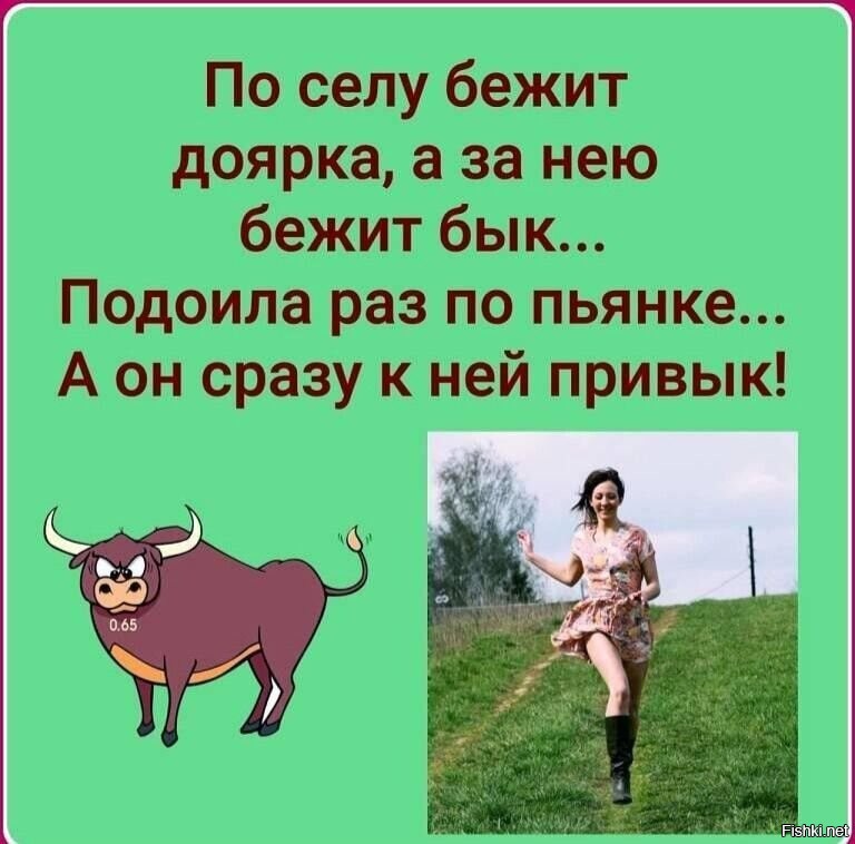 Не надо печалиться картинки с юмором с надписями