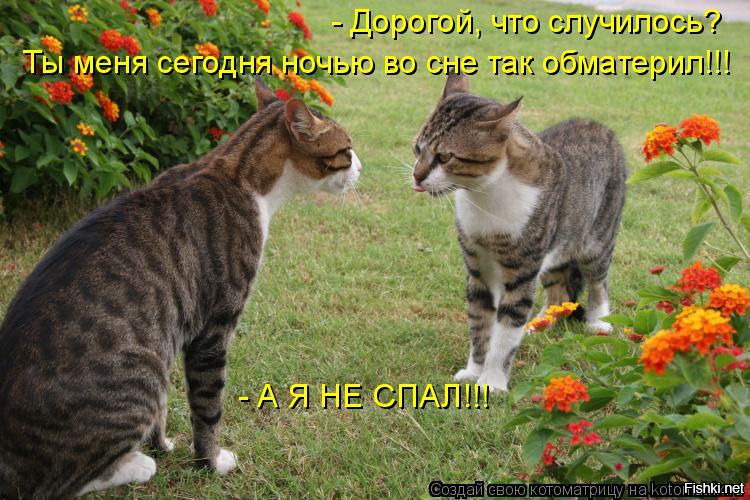 Надписью люблю, картинки прикольные жду мужа с работы